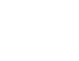 secondary logo